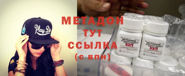 прущие грибы Вязники