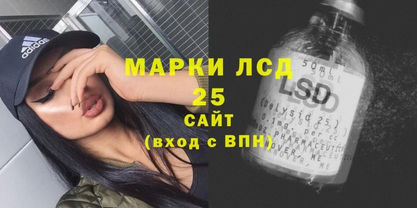 прущие грибы Вязники