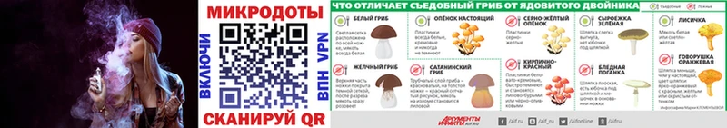 дарнет шоп  Камышин  Псилоцибиновые грибы Psilocybine cubensis 